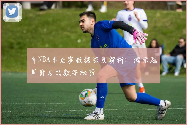 年NBA季后赛数据深度解析：揭示冠军背后的数字秘密